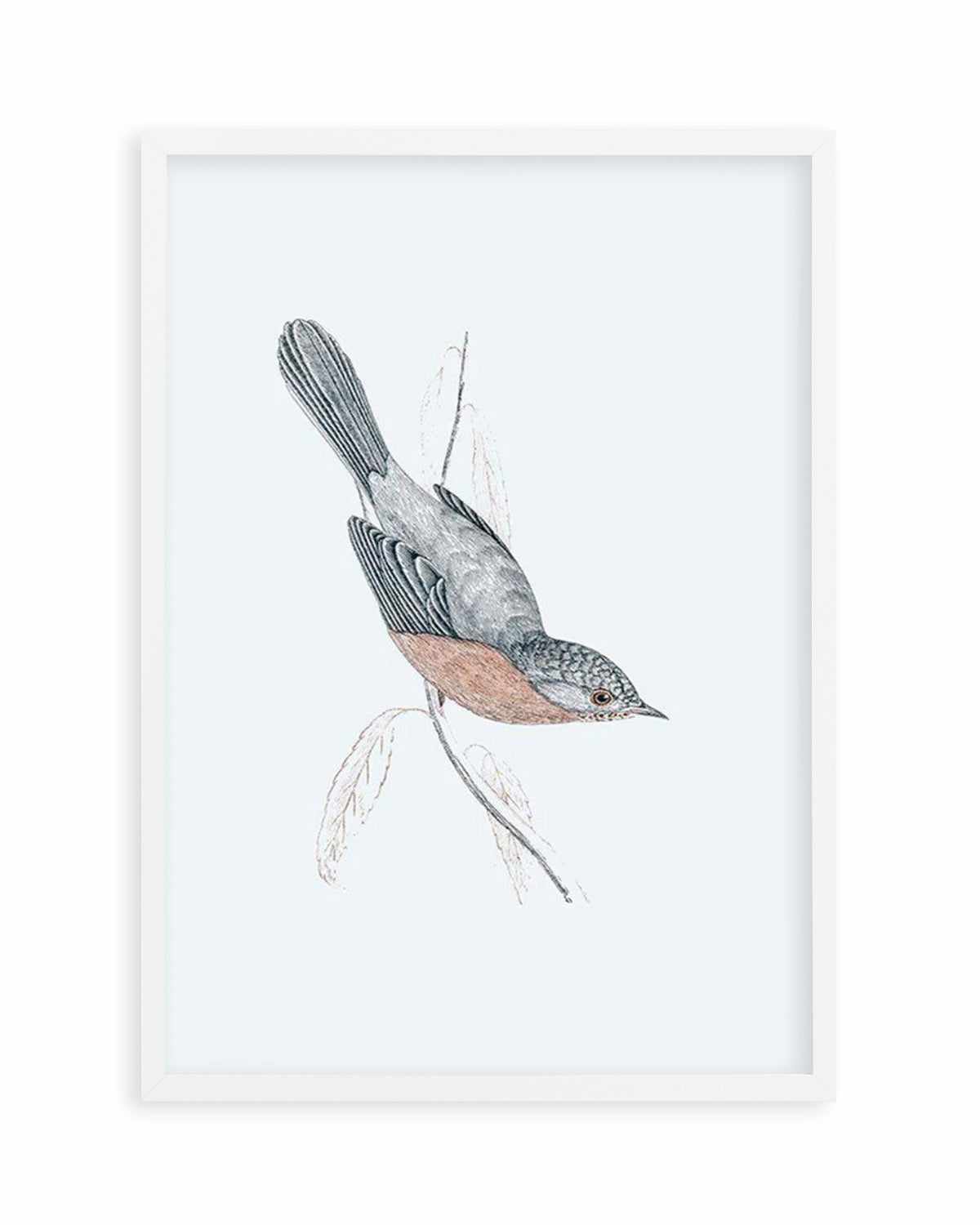 Hamptons Bird I Art Print