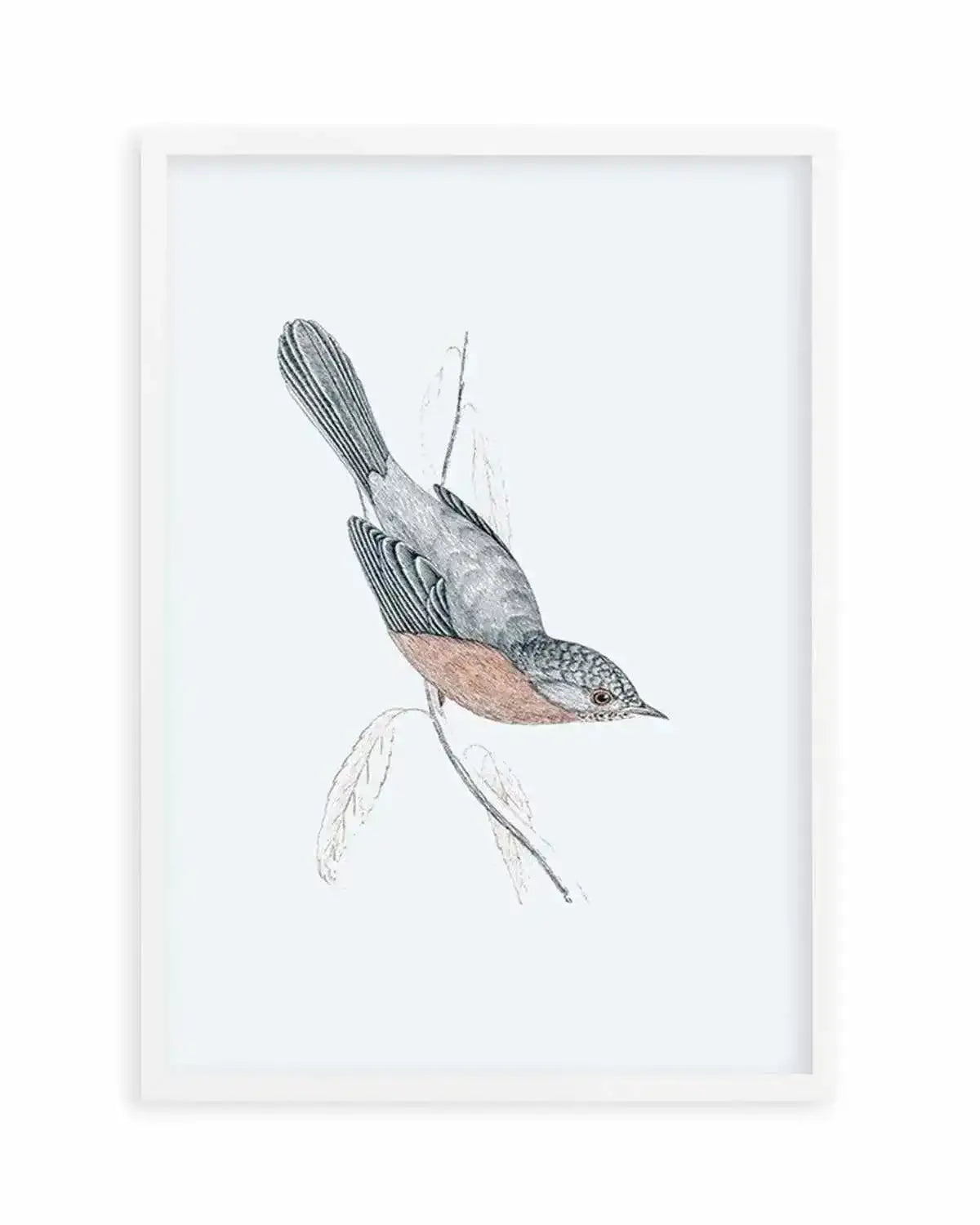 Hamptons Bird I Art Print from Olive et Oriel where you can shop wallpaper and artworks online