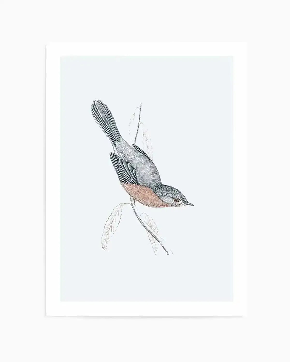 Hamptons Bird I Art Print from Olive et Oriel where you can shop wallpaper and artworks online