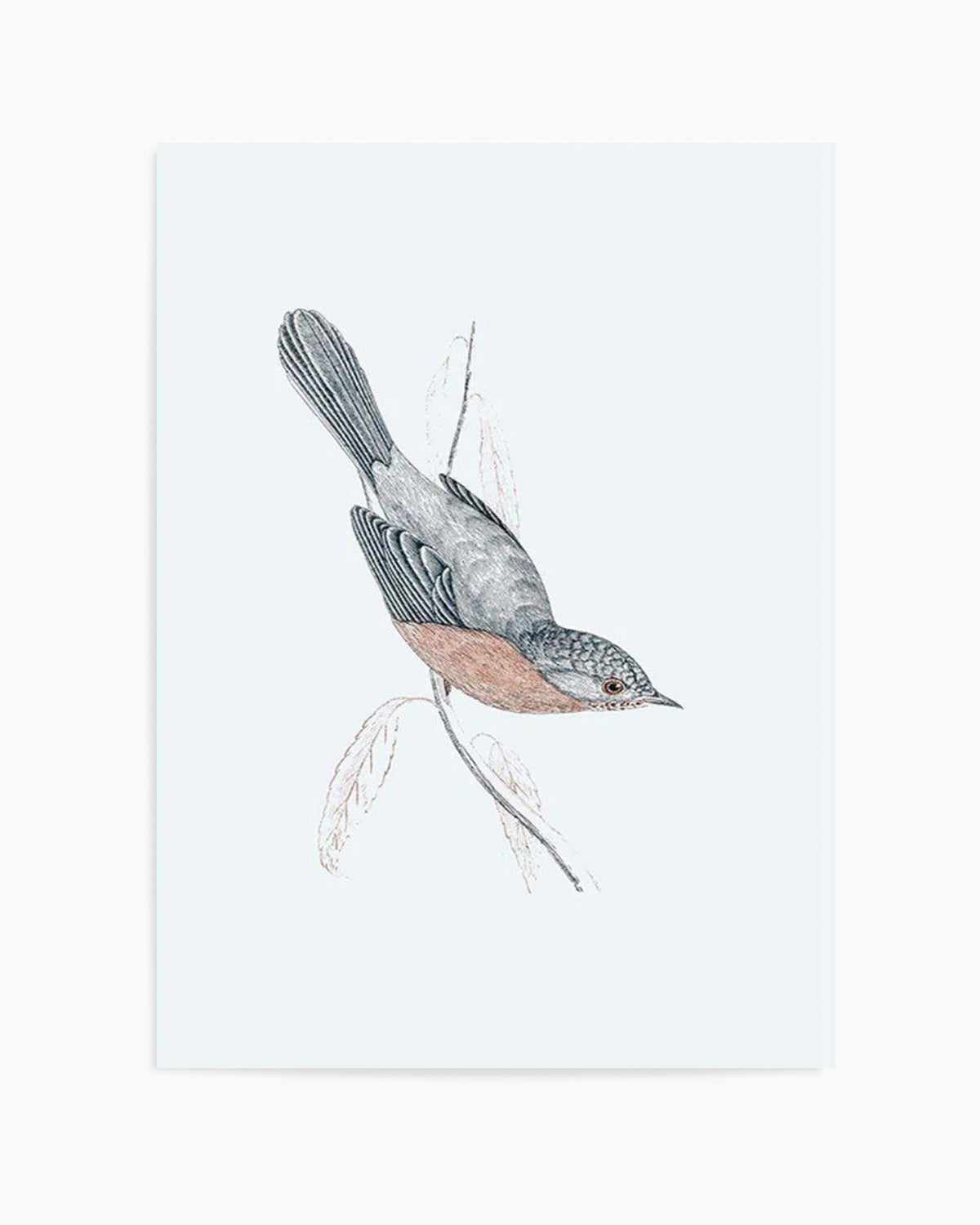 Hamptons Bird I Art Print