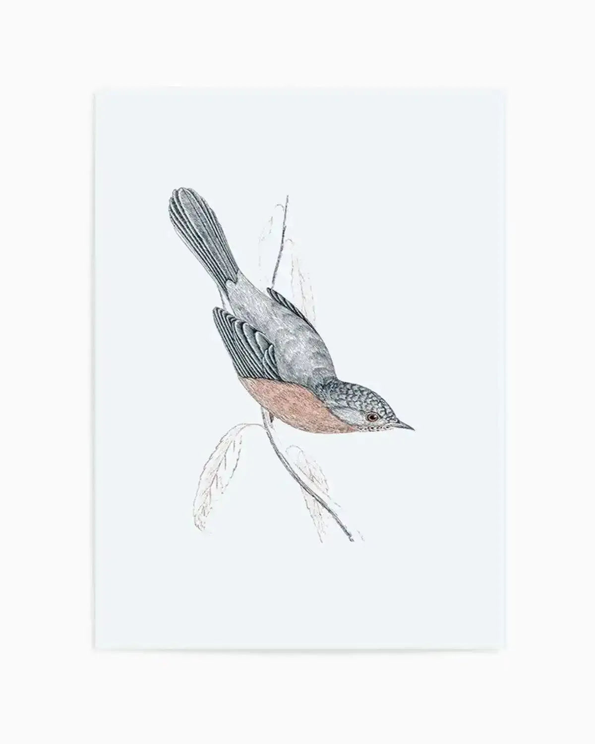 Hamptons Bird I Art Print from Olive et Oriel where you can shop wallpaper and artworks online