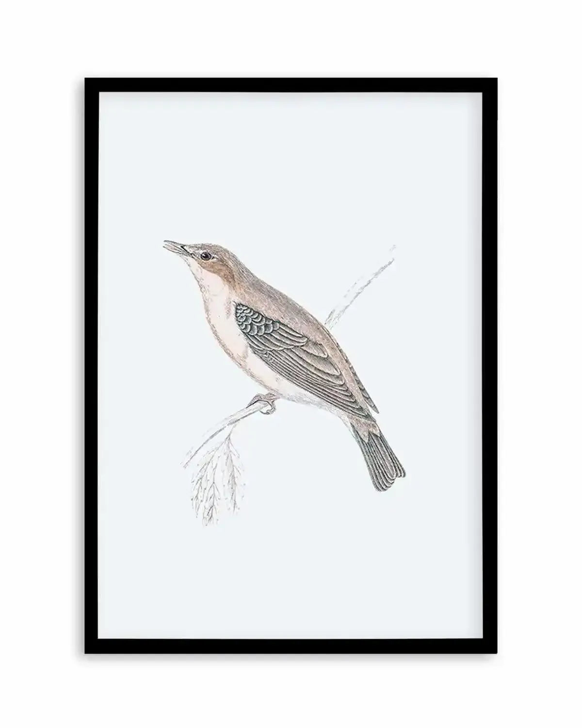 Hamptons Bird II Art Print from Olive et Oriel where you can shop wallpaper and artworks online
