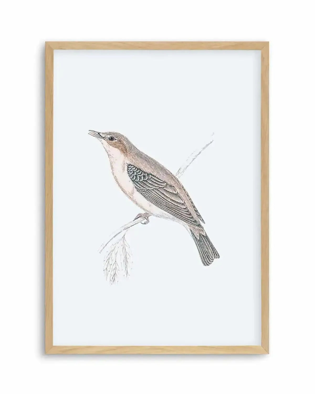 Hamptons Bird II Art Print from Olive et Oriel where you can shop wallpaper and artworks online