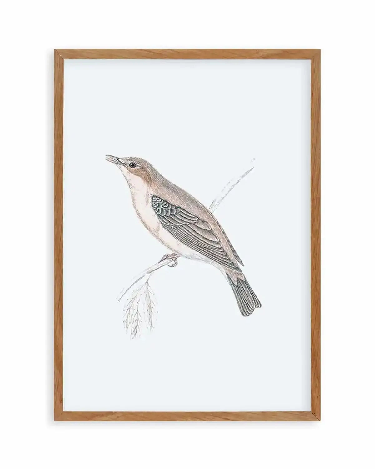 Hamptons Bird II Art Print from Olive et Oriel where you can shop wallpaper and artworks online