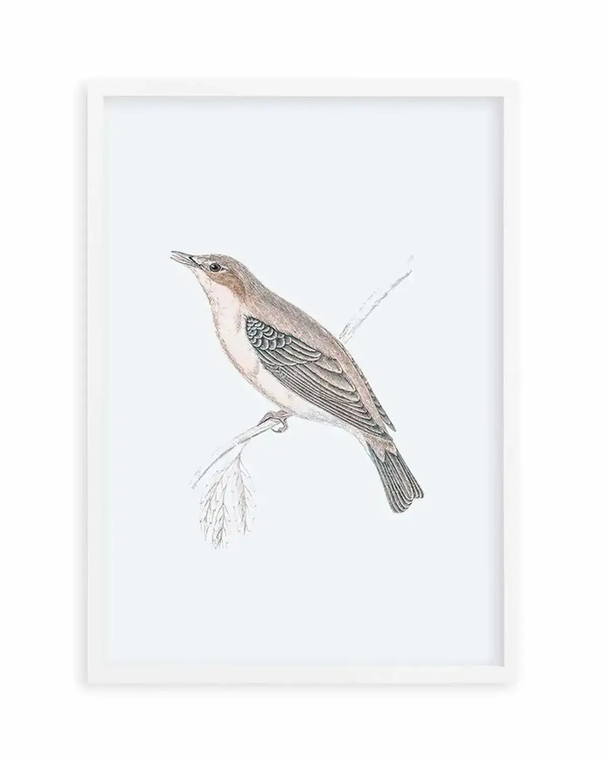 Hamptons Bird II Art Print from Olive et Oriel where you can shop wallpaper and artworks online