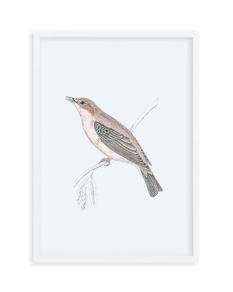 Hamptons Bird II Art Print
