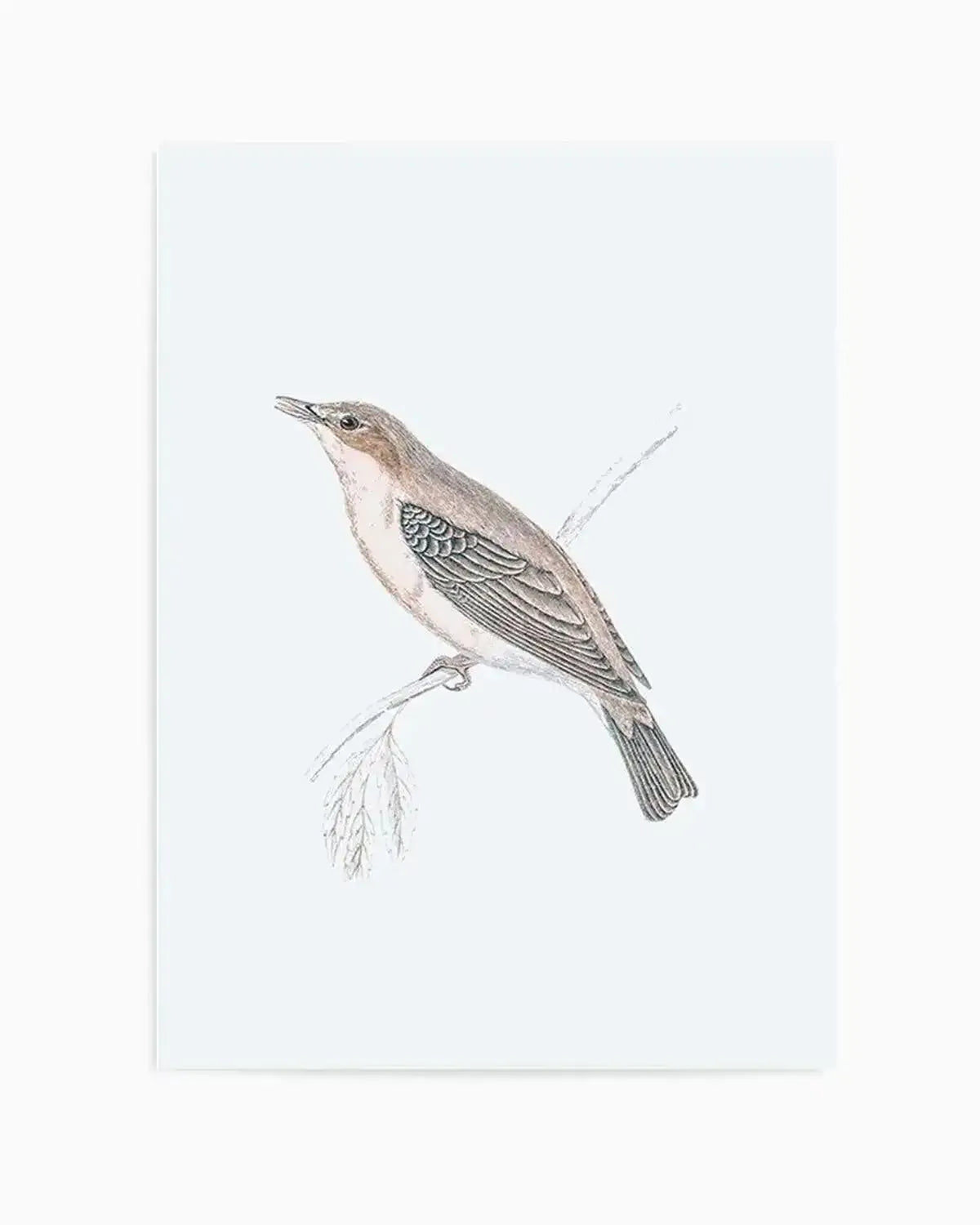 Hamptons Bird II Art Print from Olive et Oriel where you can shop wallpaper and artworks online