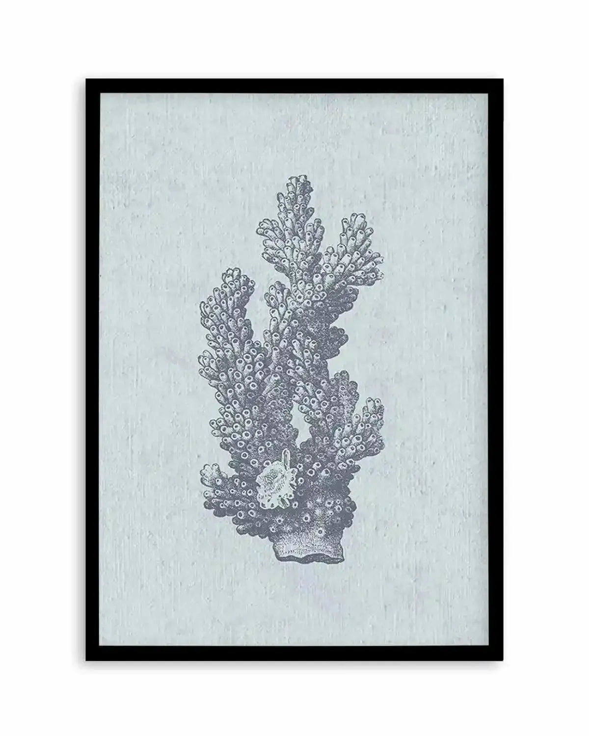 Hamptons Coral I Blue Art Print from Olive et Oriel where you can shop wallpaper and artworks online