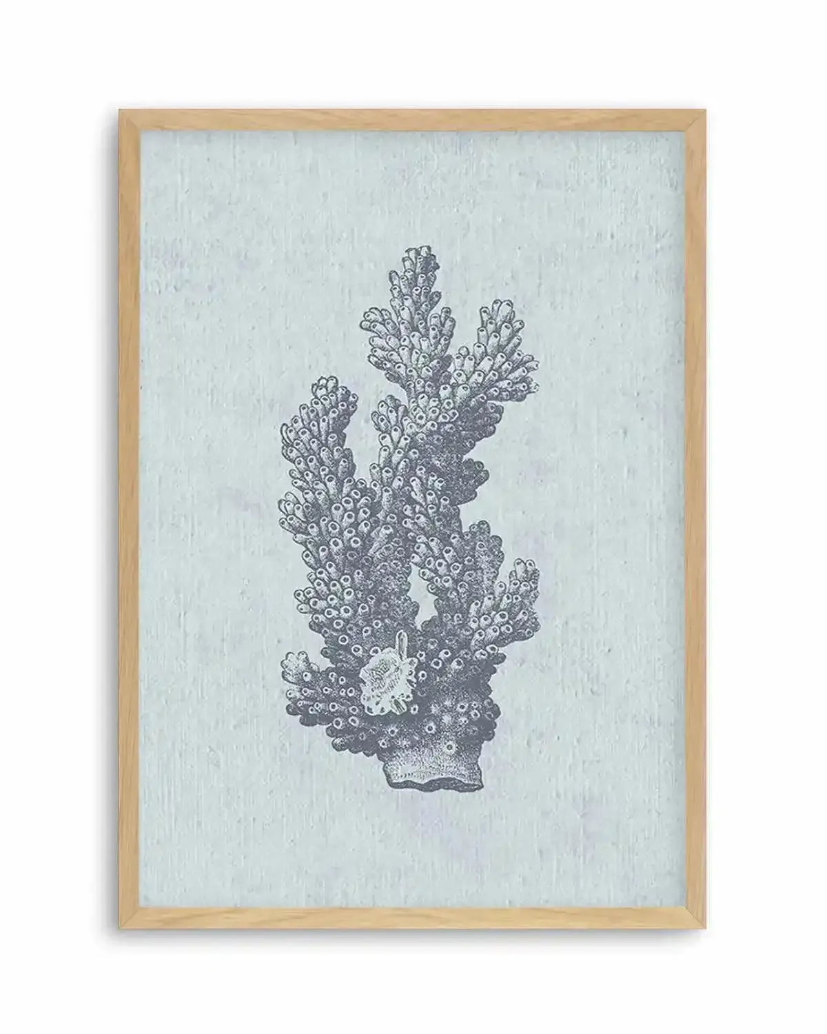 Hamptons Coral I Blue Art Print from Olive et Oriel where you can shop wallpaper and artworks online