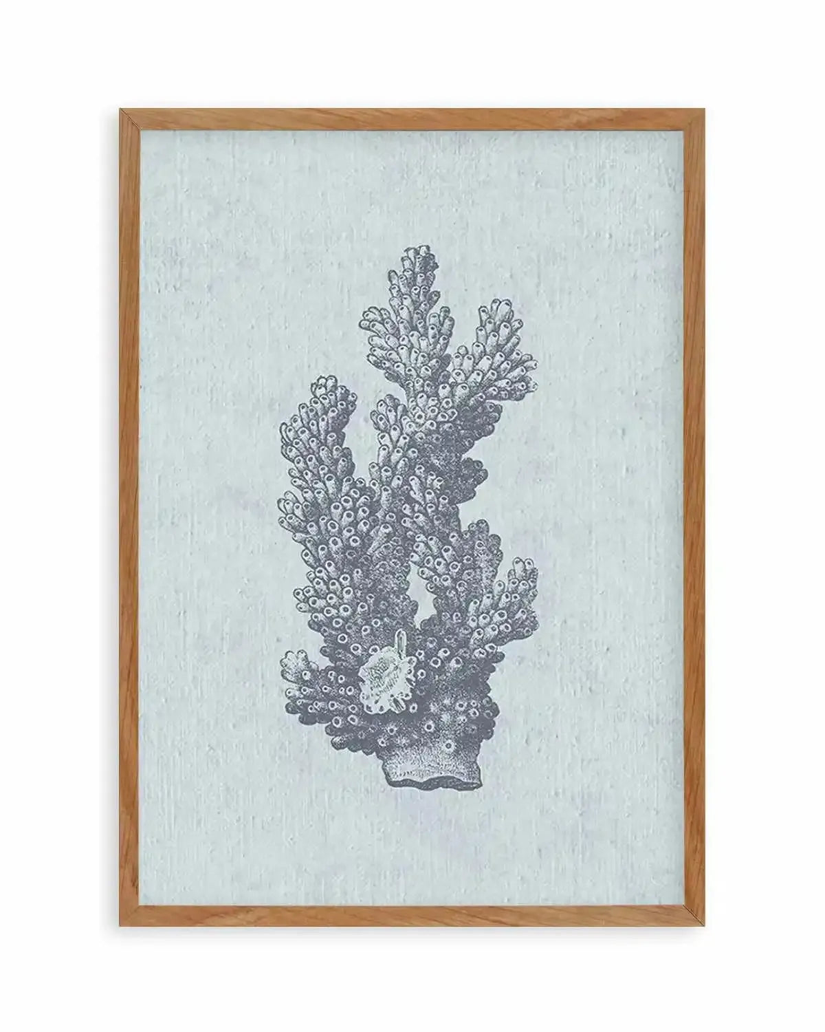 Hamptons Coral I Blue Art Print from Olive et Oriel where you can shop wallpaper and artworks online