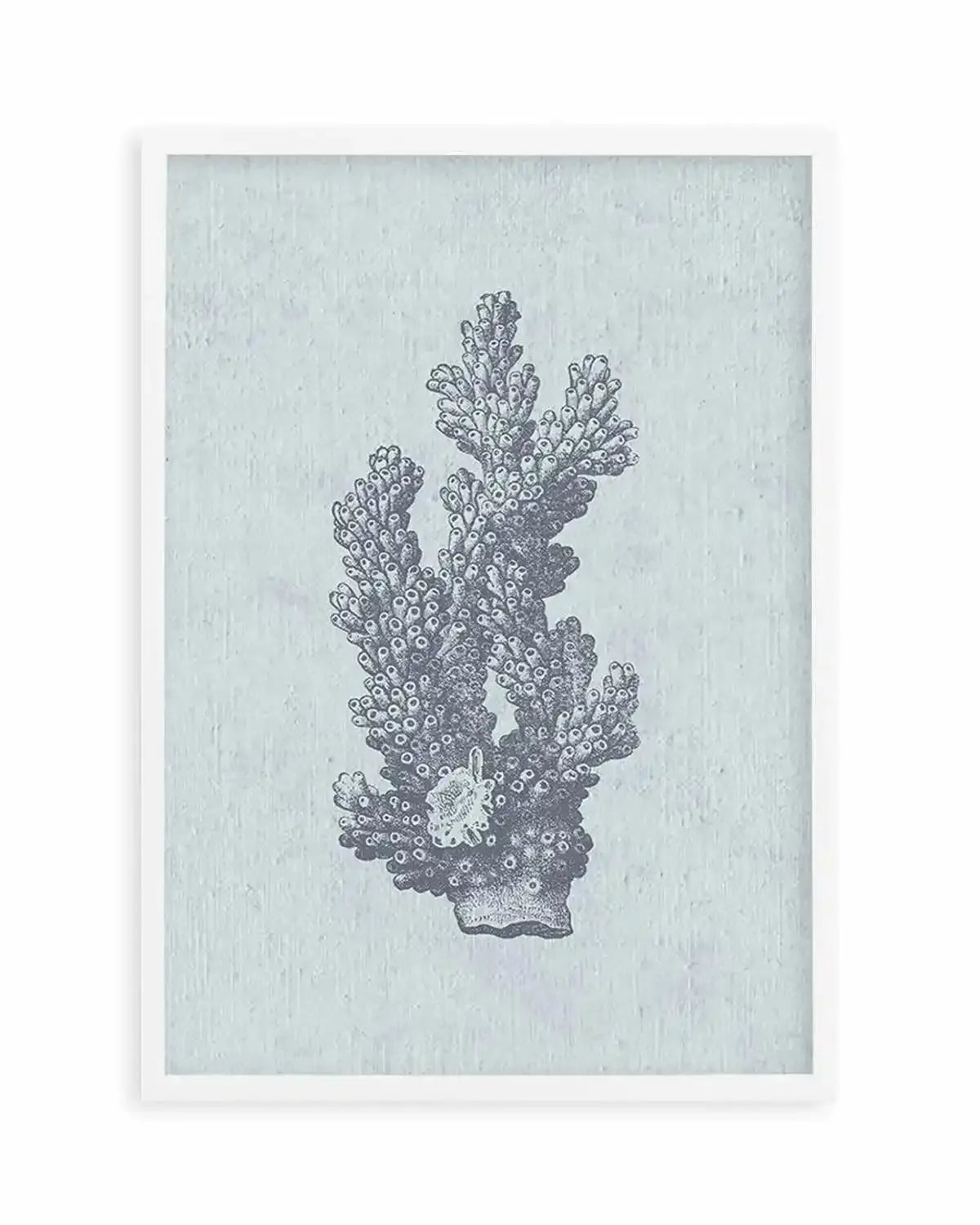Hamptons Coral I Blue Art Print from Olive et Oriel where you can shop wallpaper and artworks online