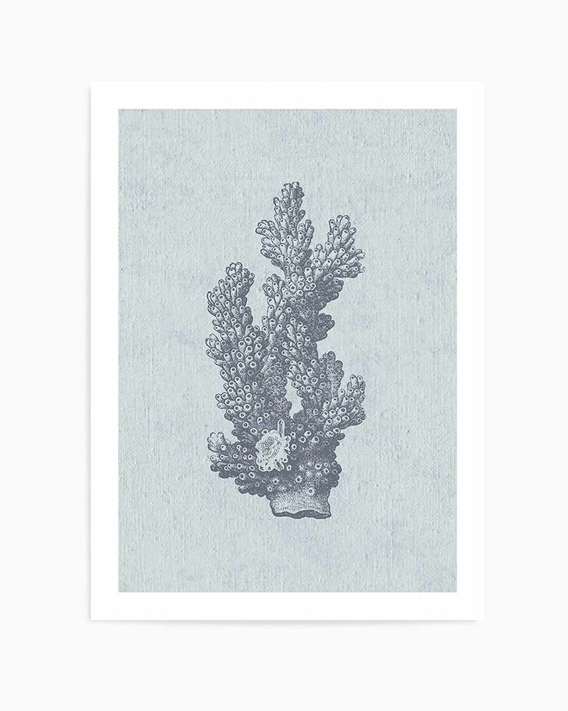 Hamptons Coral I Blue Art Print