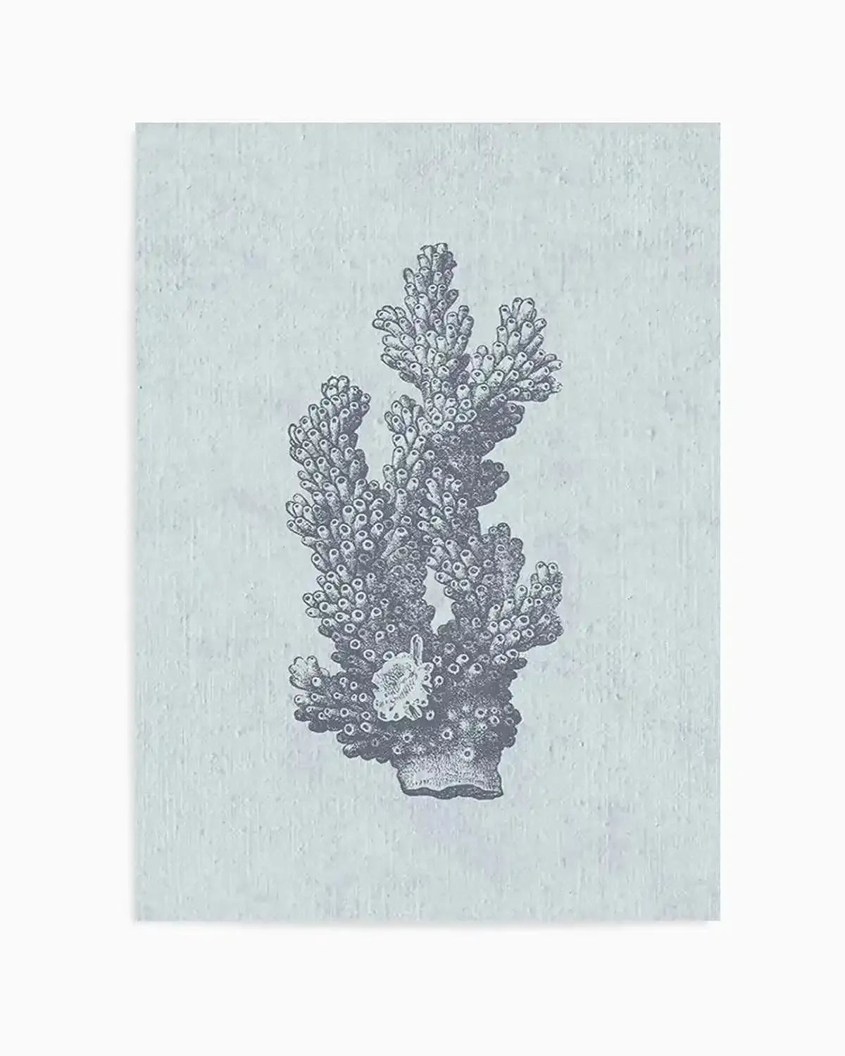 Hamptons Coral I Blue Art Print from Olive et Oriel where you can shop wallpaper and artworks online