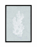Hamptons Coral I White Art Print