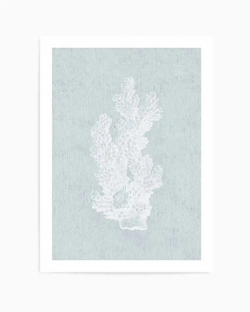 Art print featuring a detailed white illustration of a branching coral against a textured, pale blue-green background, with a white border and white frame.