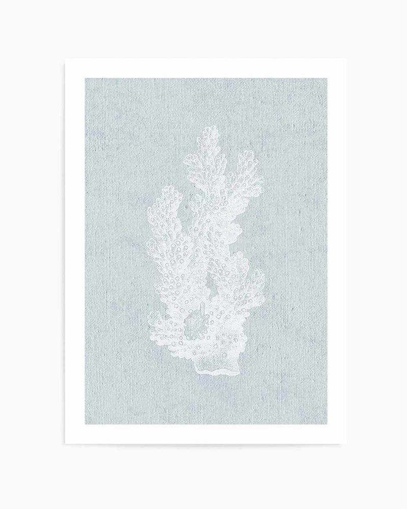 Hamptons Coral I White Art Print