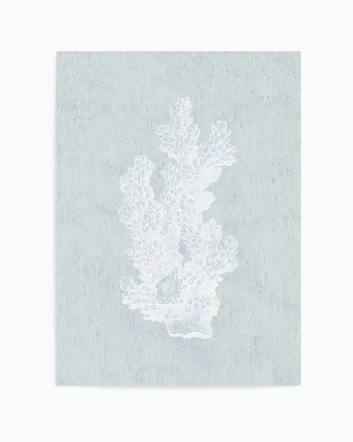 Hamptons Coral I White Art Print from Olive et Oriel where you can shop wallpaper and artworks online