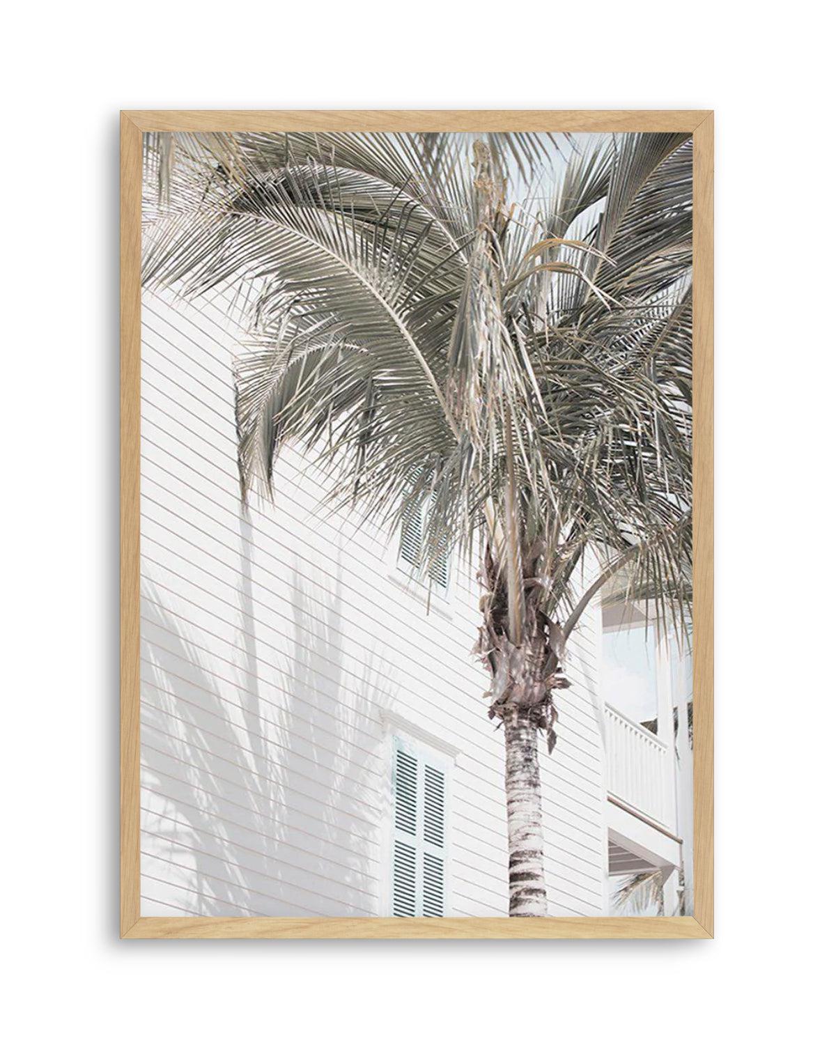 Hamptons Palm Art Print