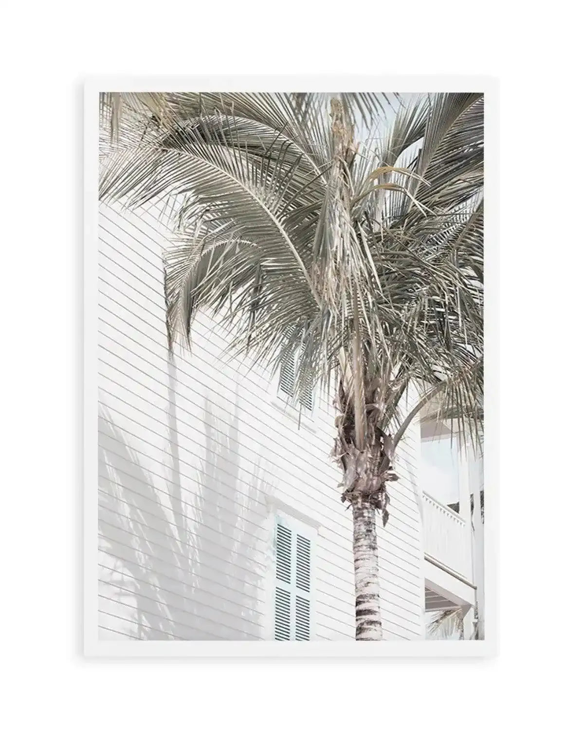 Hamptons Palm Art Print from Olive et Oriel where you can shop wallpaper and artworks online