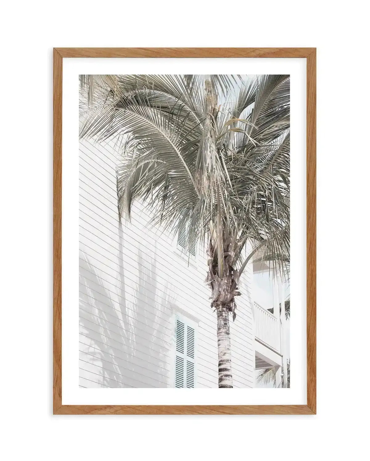 Hamptons Palm Art Print-PRINT-Olive et Oriel-Olive et Oriel-Buy-Australian-Art-Prints-Online-with-Olive-et-Oriel-Your-Artwork-Specialists-Austrailia-Decorate-With-Coastal-Photo-Wall-Art-Prints-From-Our-Beach-House-Artwork-Collection-Fine-Poster-and-Framed-Artwork