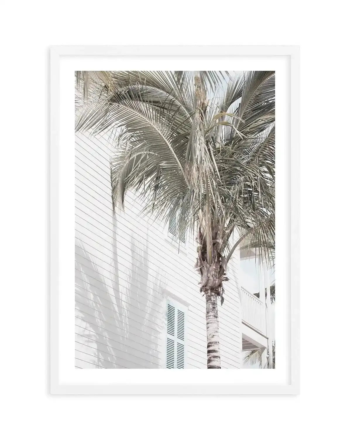 Hamptons Palm Art Print-PRINT-Olive et Oriel-Olive et Oriel-A4 | 8.3" x 11.7" | 21 x 29.7cm-White-With White Border-Buy-Australian-Art-Prints-Online-with-Olive-et-Oriel-Your-Artwork-Specialists-Austrailia-Decorate-With-Coastal-Photo-Wall-Art-Prints-From-Our-Beach-House-Artwork-Collection-Fine-Poster-and-Framed-Artwork