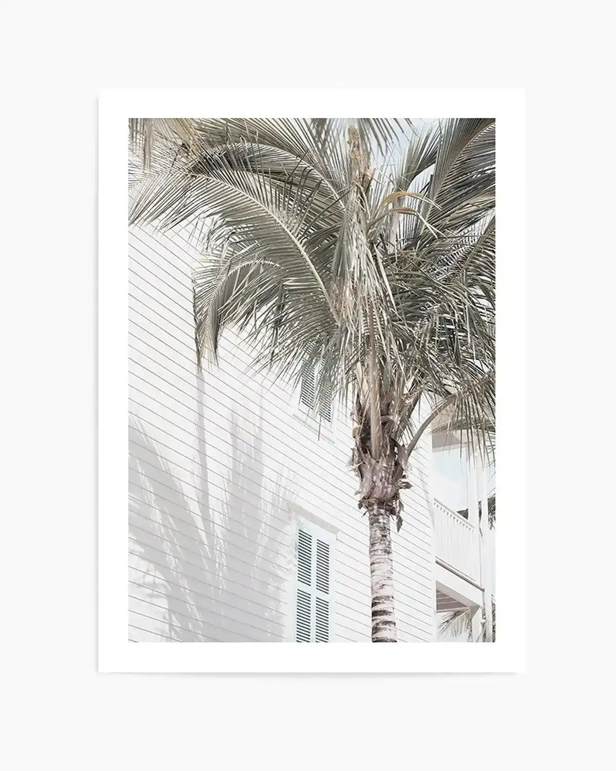 Hamptons Palm Art Print from Olive et Oriel where you can shop wallpaper and artworks online