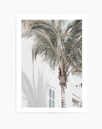 Hamptons Palm Art Print