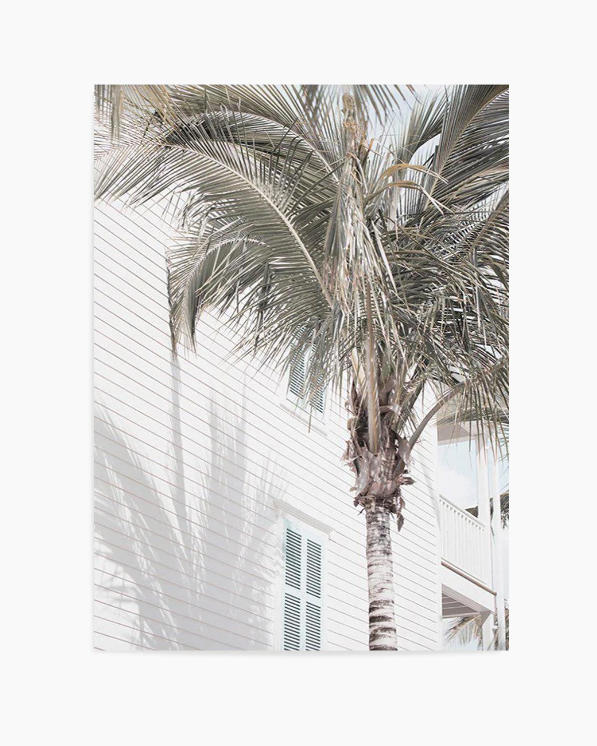 Hamptons Palm Art Print