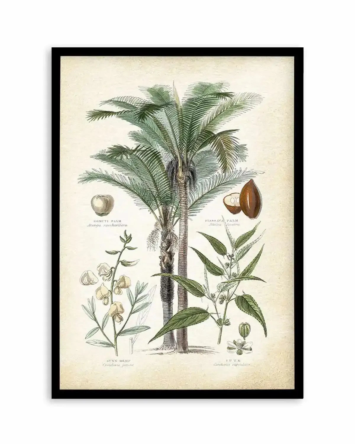 Hamptons Palm I Art Print from Olive et Oriel where you can shop wallpaper and artworks online