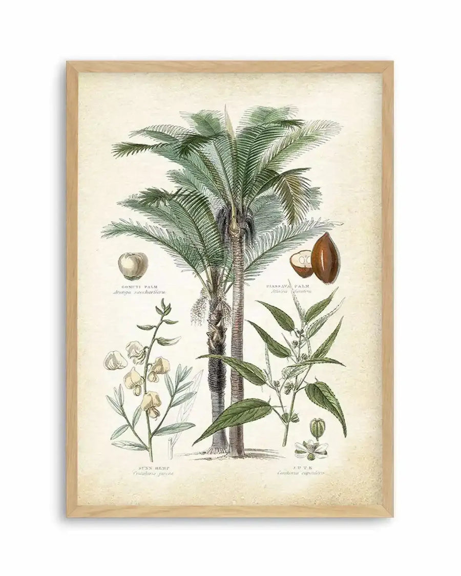 Hamptons Palm I Art Print from Olive et Oriel where you can shop wallpaper and artworks online