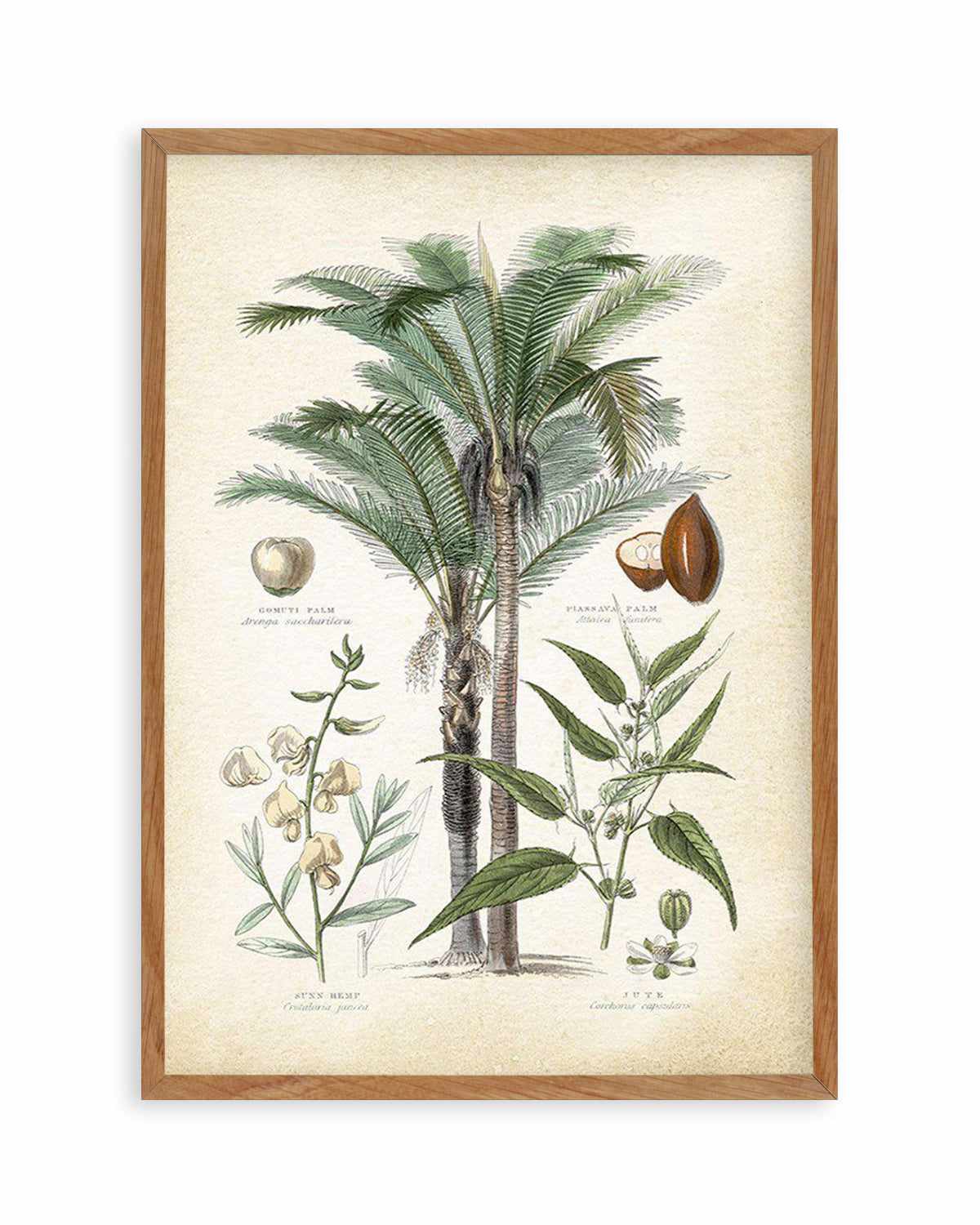 Hamptons Palm I Art Print