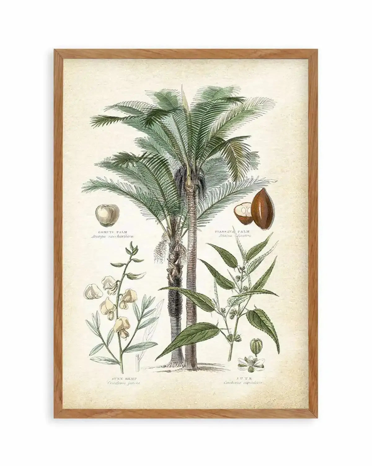 Hamptons Palm I Art Print from Olive et Oriel where you can shop wallpaper and artworks online