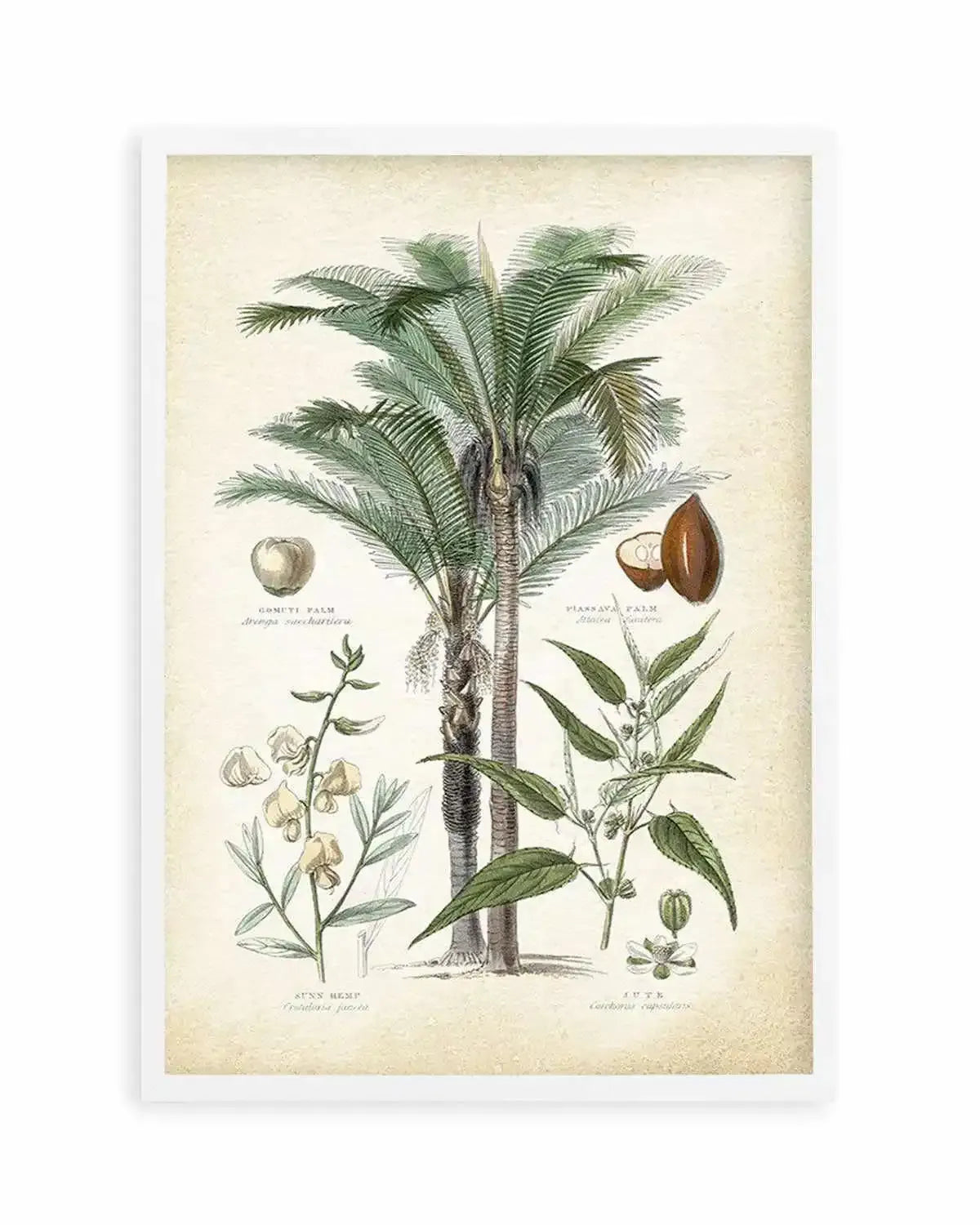 Hamptons Palm I Art Print from Olive et Oriel where you can shop wallpaper and artworks online
