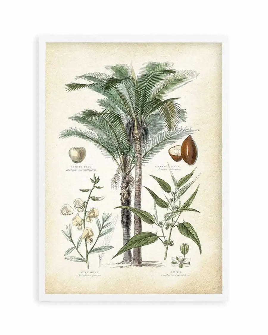 Hamptons Palm I Art Print from Olive et Oriel where you can shop wallpaper and artworks online