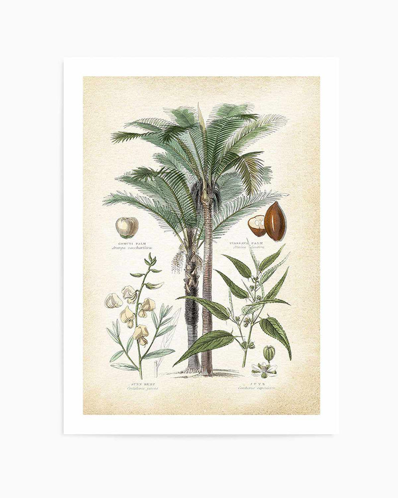 Hamptons Palm I Art Print