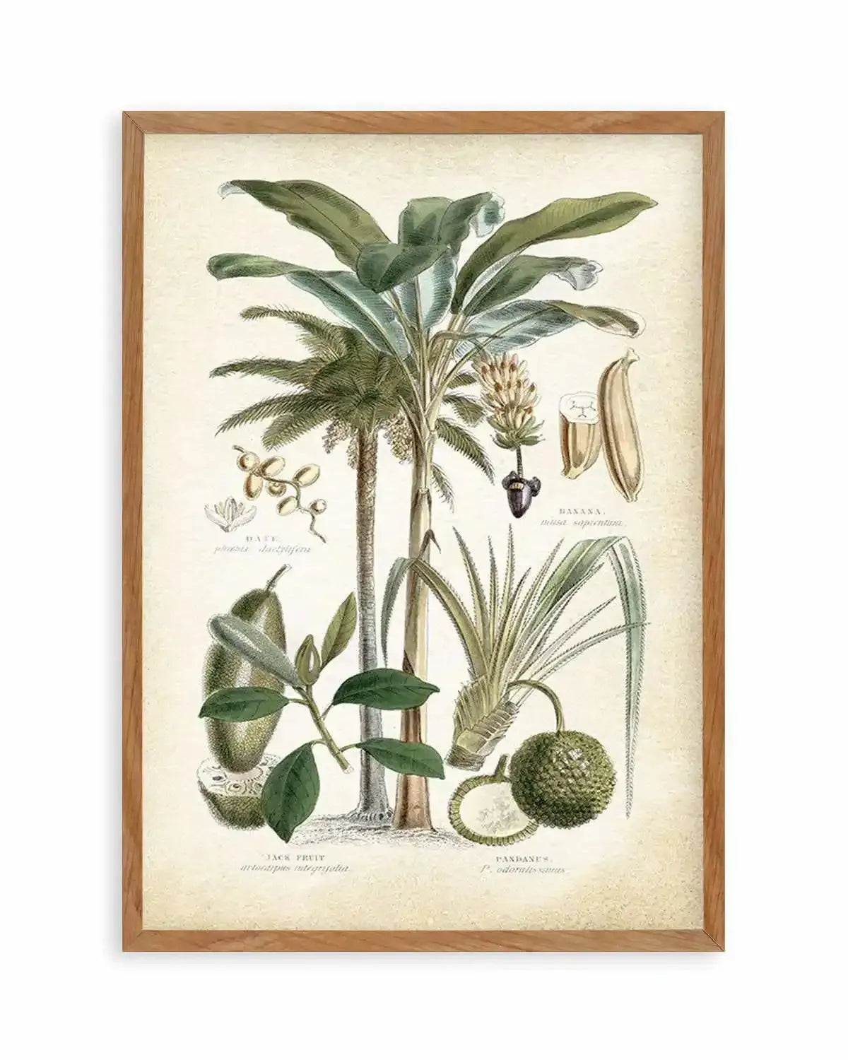 Hamptons Palm II Art Print from Olive et Oriel where you can shop wallpaper and artworks online