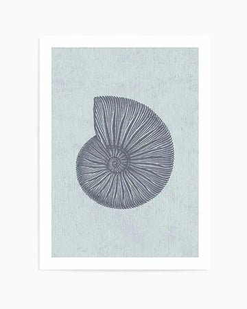 Detailed illustration of a spiral ammonite fossil rendered in dark gray lines on a pale blue-green textured background. The spiral shell features radiating ridges that create a naturalistic, scientific quality. The artwork is presented as a framed print with a white border against a clean white mat and frame.