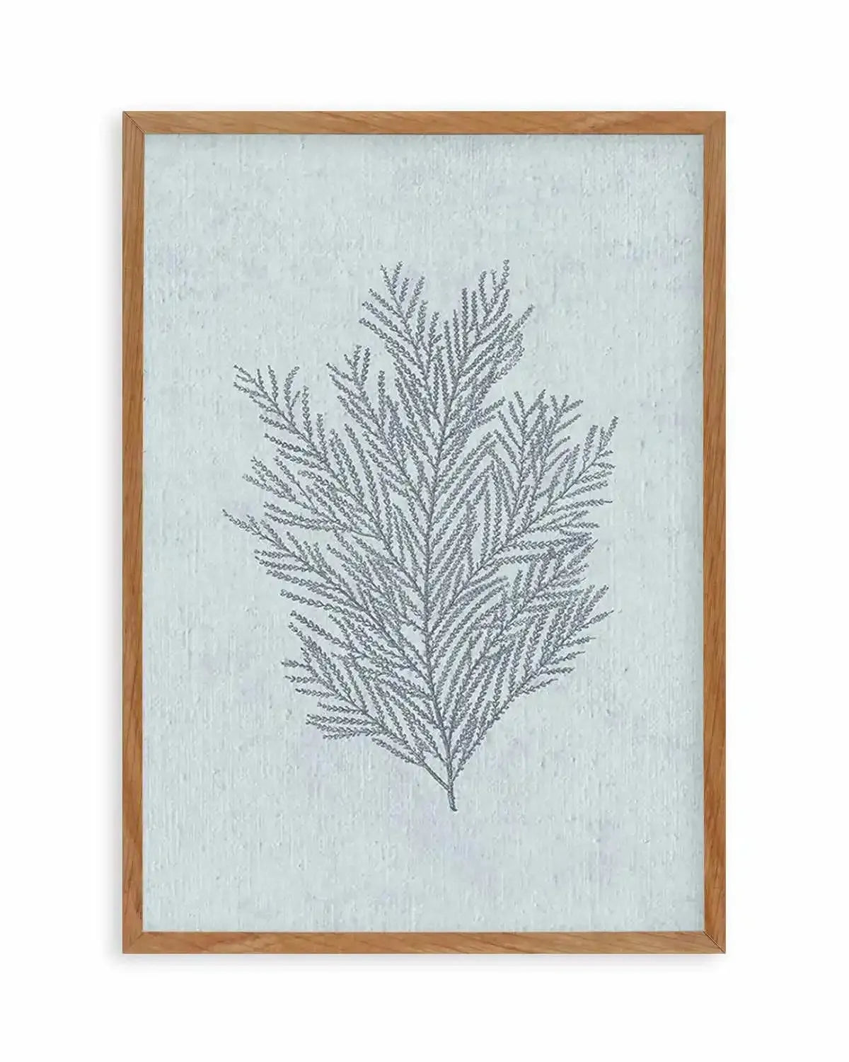 Hamptons Seaside Collection III Blue Art Print from Olive et Oriel where you can shop wallpaper and artworks online