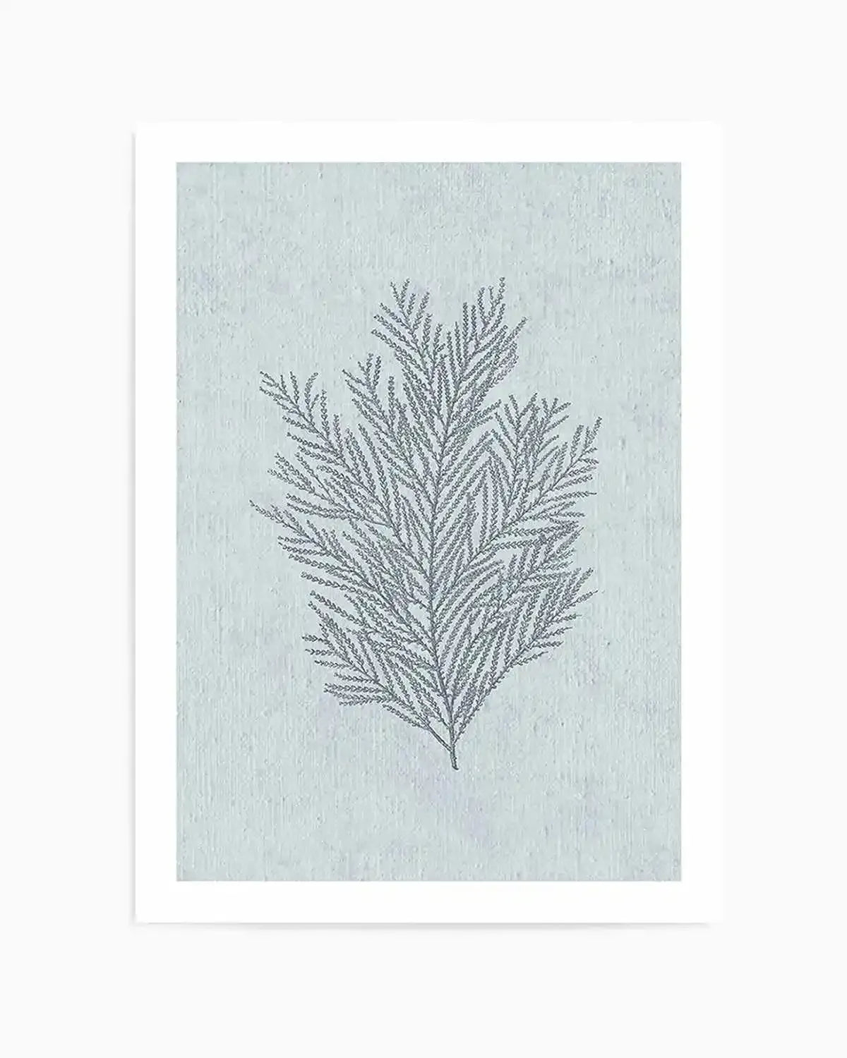 Hamptons Seaside Collection III Blue Art Print from Olive et Oriel where you can shop wallpaper and artworks online