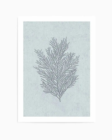 Hamptons Seaside Collection III Blue Art Print featuring a delicate botanical illustration of feathery fern fronds in dark gray-blue ink on a soft sage green background with subtle texture. The fern is centered vertically on the composition. The artwork is presented in a white border frame.