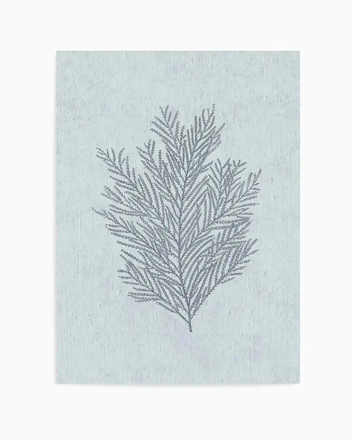 Hamptons Seaside Collection III Blue Art Print from Olive et Oriel where you can shop wallpaper and artworks online