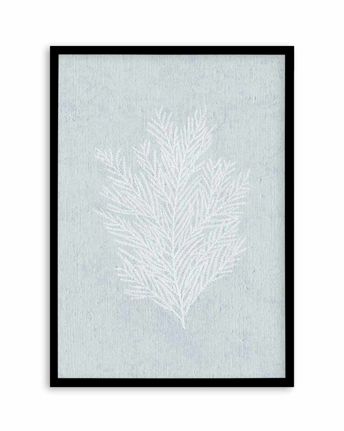 Hamptons Seaside Collection III White Art Print