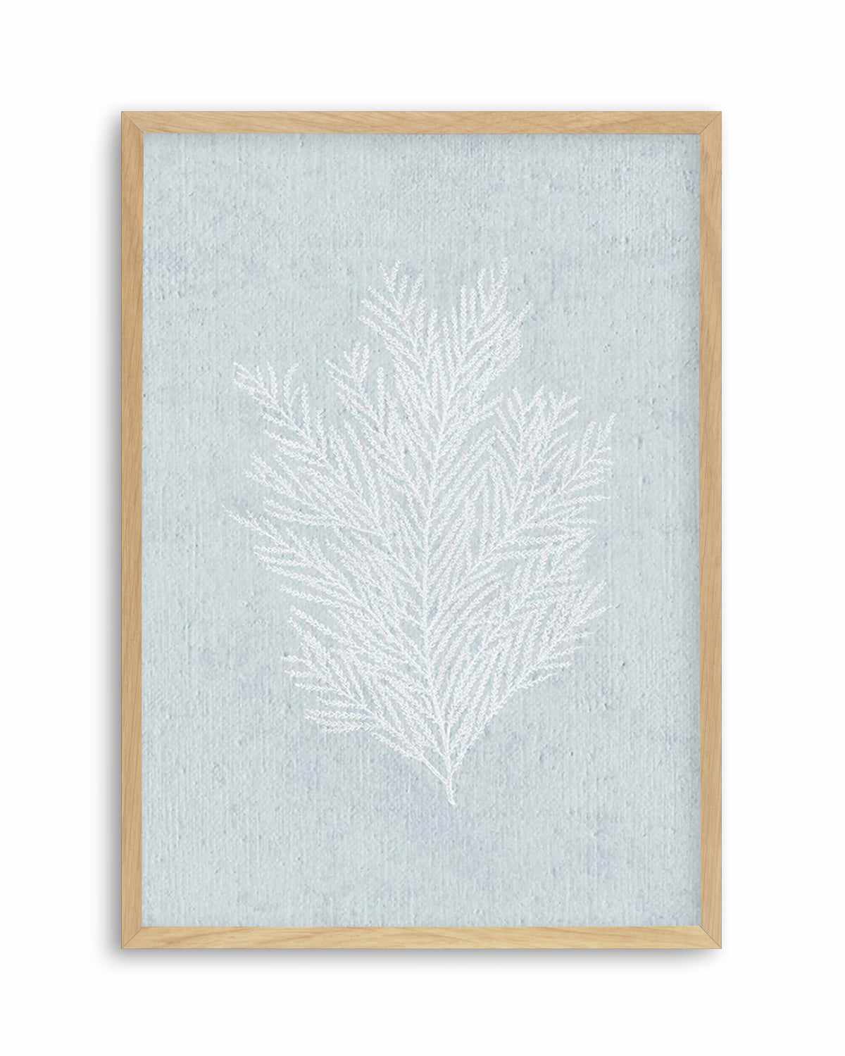 Hamptons Seaside Collection III White Art Print