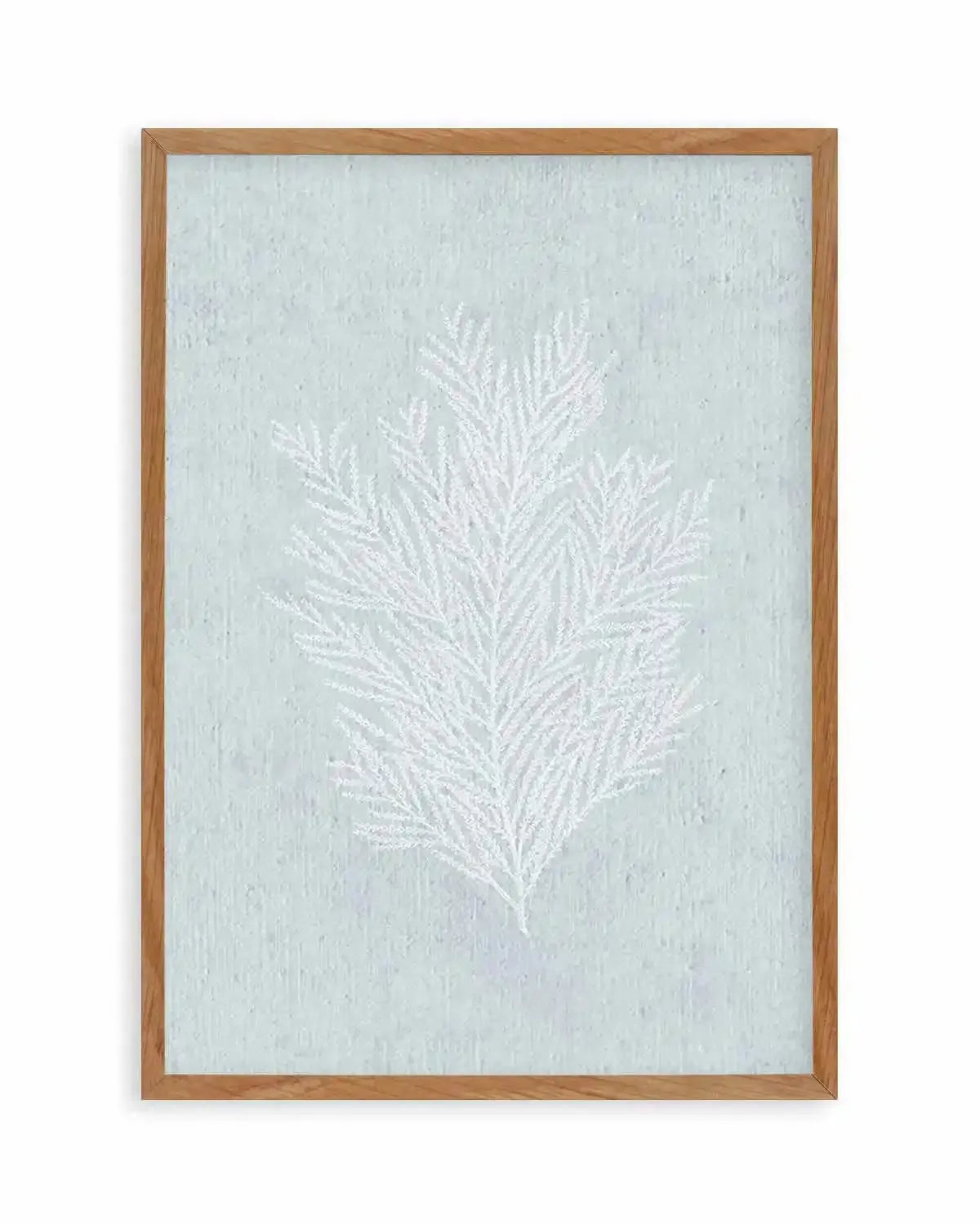 Hamptons Seaside Collection III White Art Print from Olive et Oriel where you can shop wallpaper and artworks online