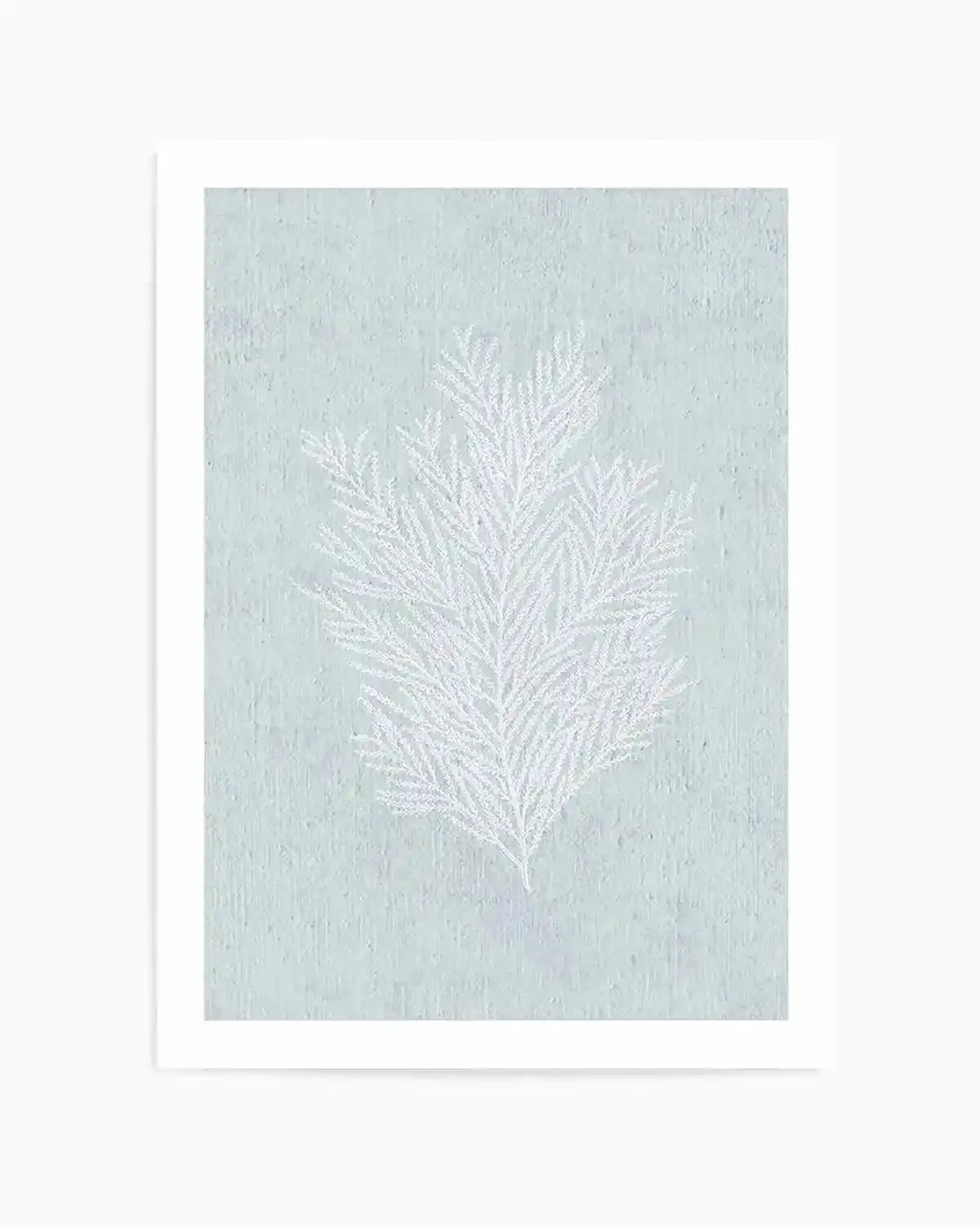 Hamptons Seaside Collection III White Art Print from Olive et Oriel where you can shop wallpaper and artworks online