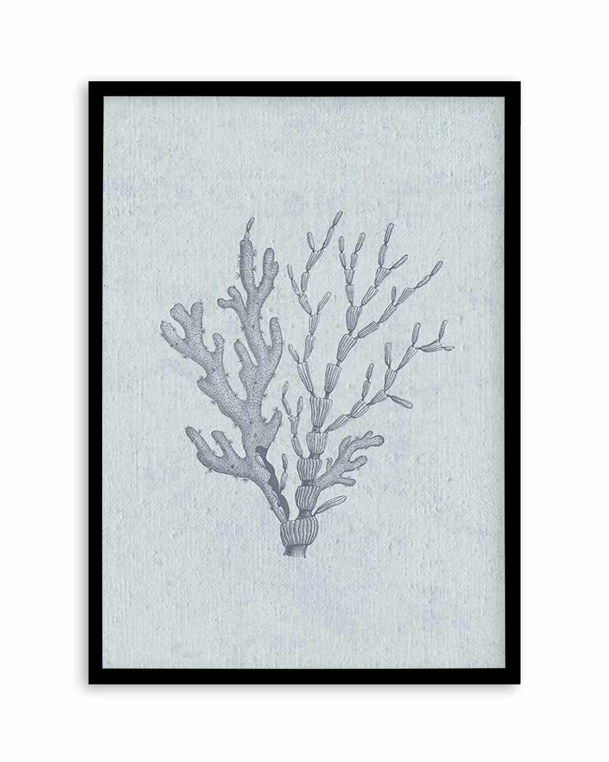 Hamptons Seaside Collection IV Blue Art Print