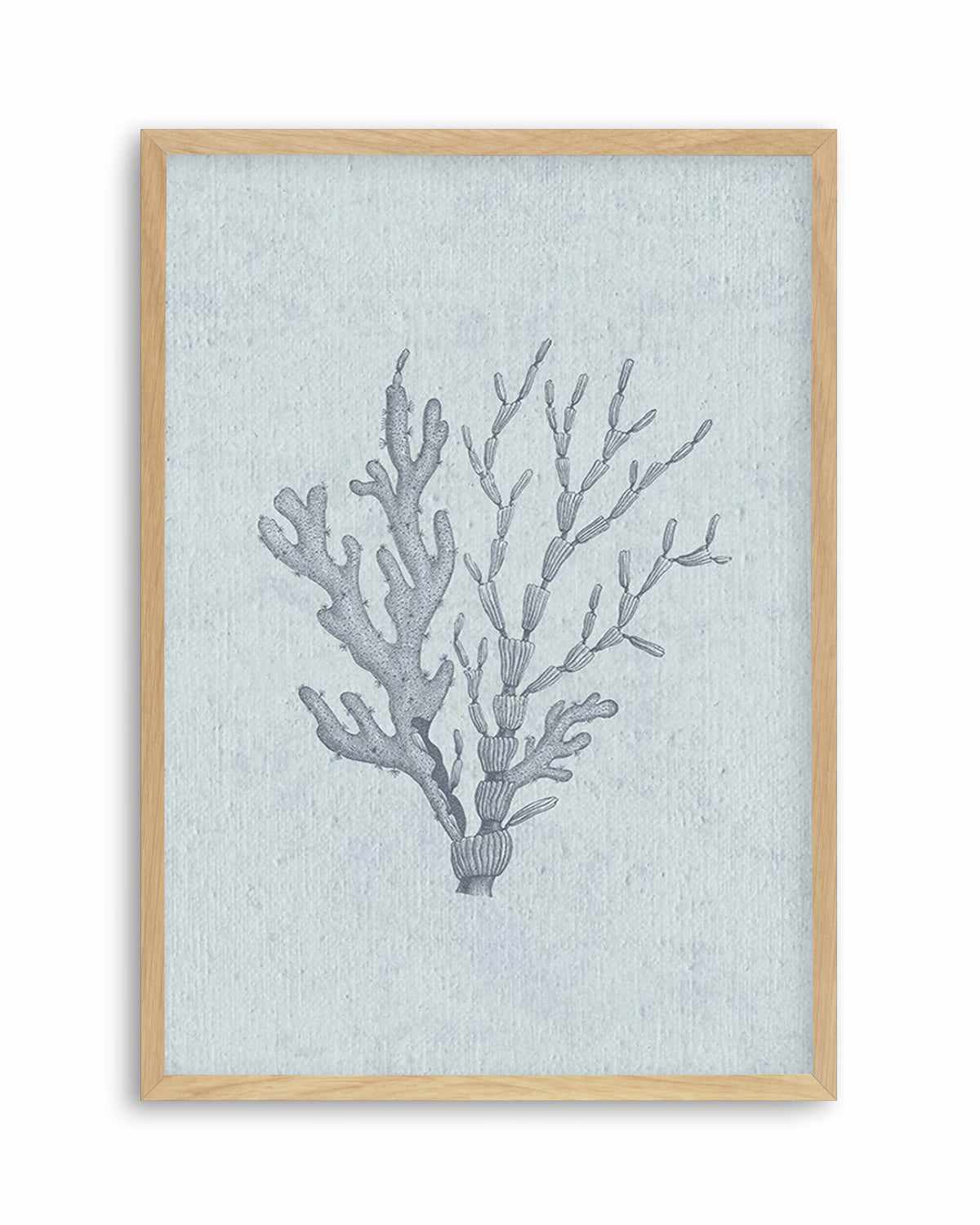 Hamptons Seaside Collection IV Blue Art Print