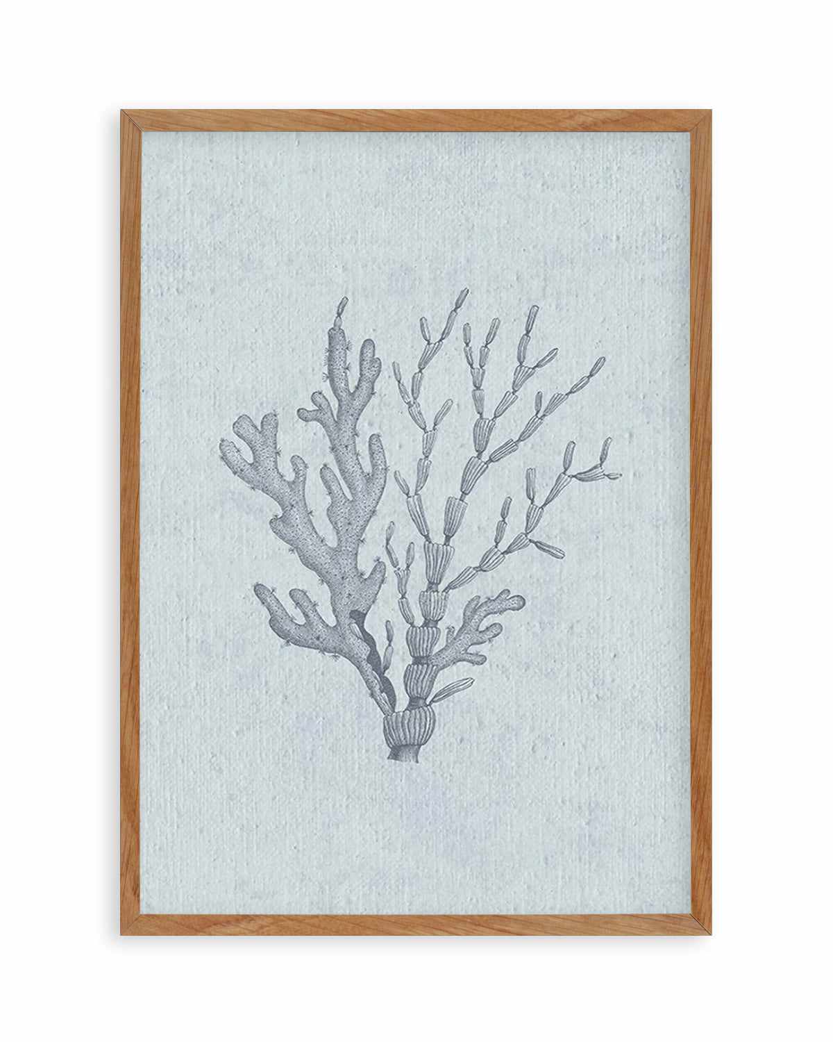 Hamptons Seaside Collection IV Blue Art Print