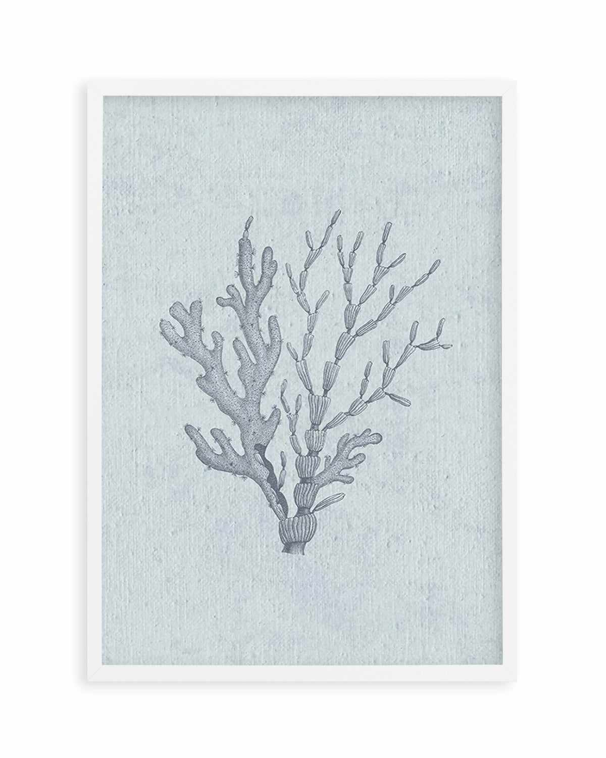 Hamptons Seaside Collection IV Blue Art Print