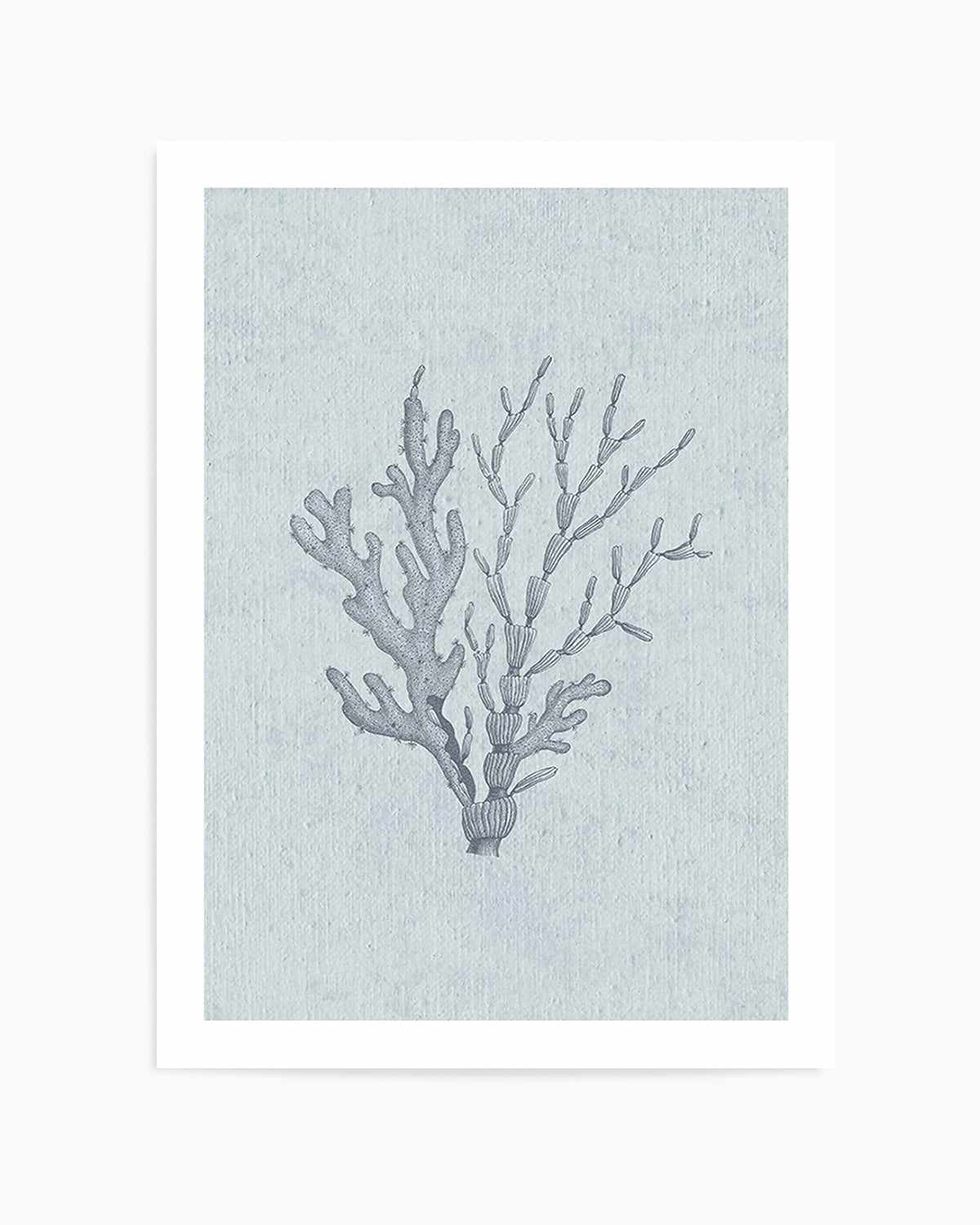 Hamptons Seaside Collection IV Blue Art Print